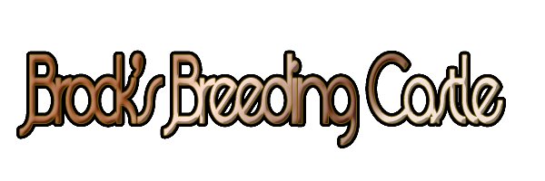 [PokeCommunity.com] Brock's Breeding Castle