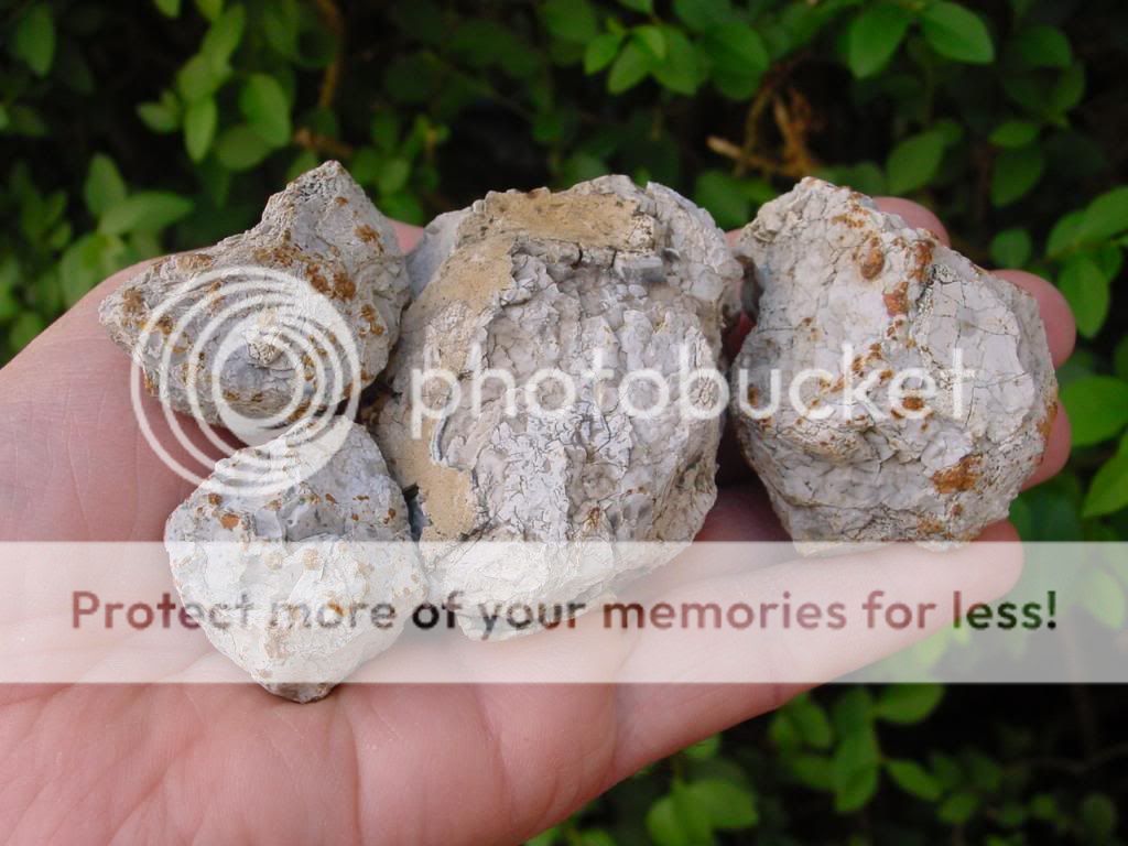 4 heat grazed neolithic flint pot boilers wiltshire england