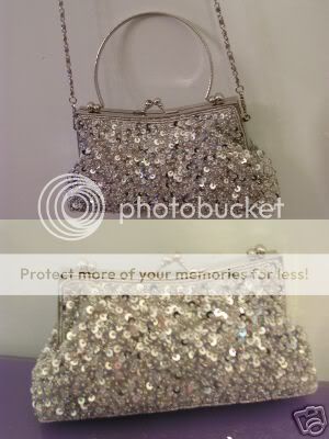 Silver Slice Gorgeous Bead Handbag Evening Bag New  