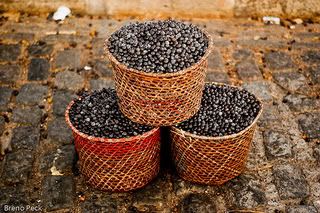 Acai