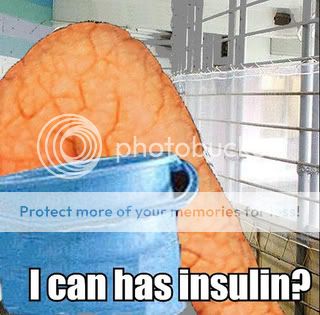 I Can Has Insulin?