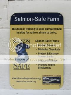 Salmon Farm Sign