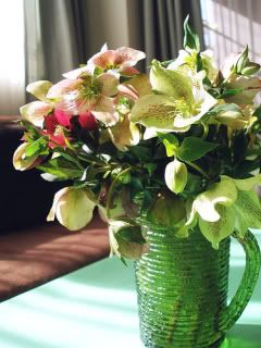 Flowers in Vase
