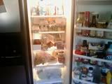 Paul's Fridge