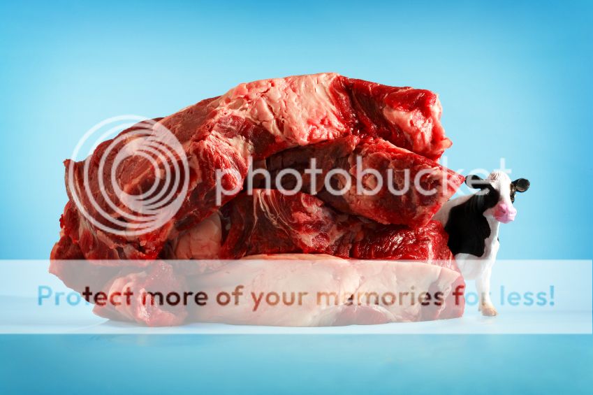 meat2.jpg
