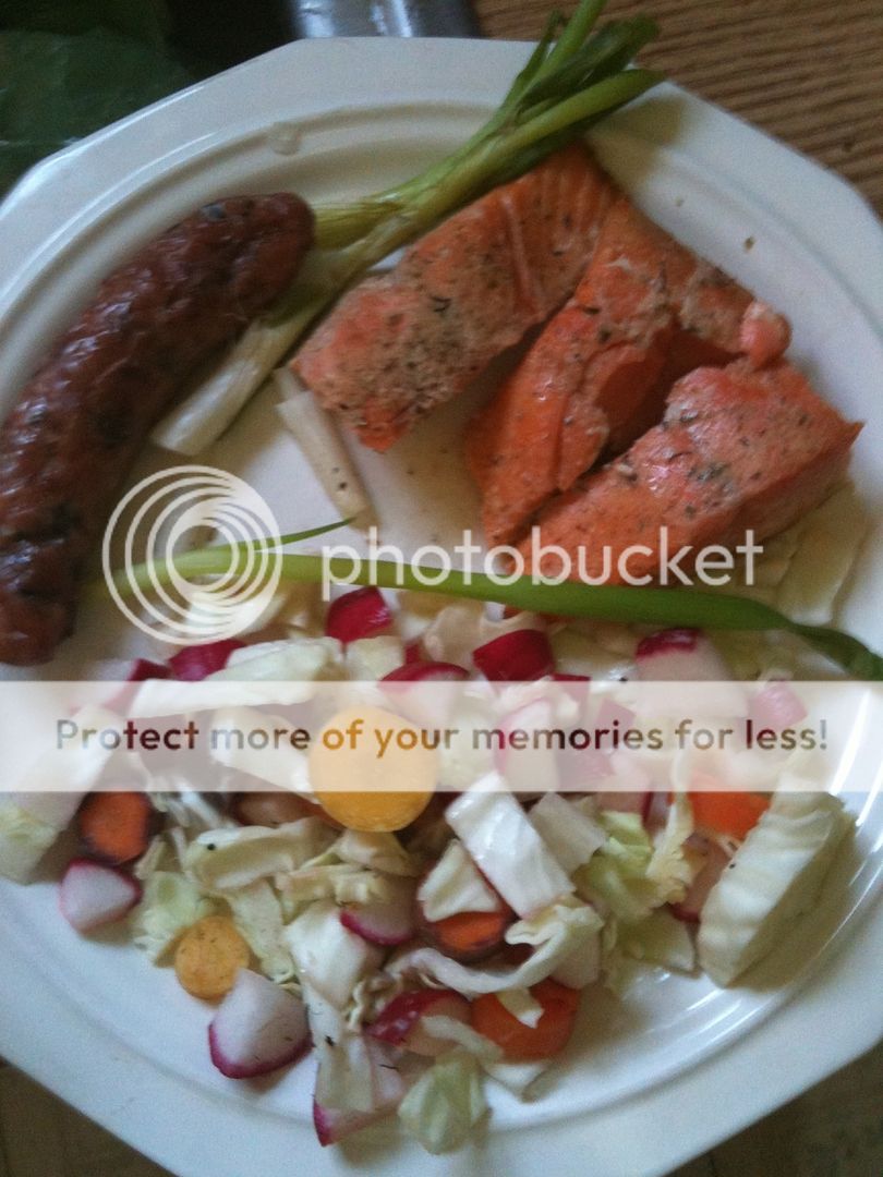 Copper River sockeye salmon, moose sausage, grilled green onions and fresh vegetable salad