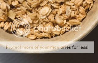 Bowl of Oats and Granola