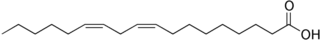 Just one type of polyunsaturated fat - linoleic acid