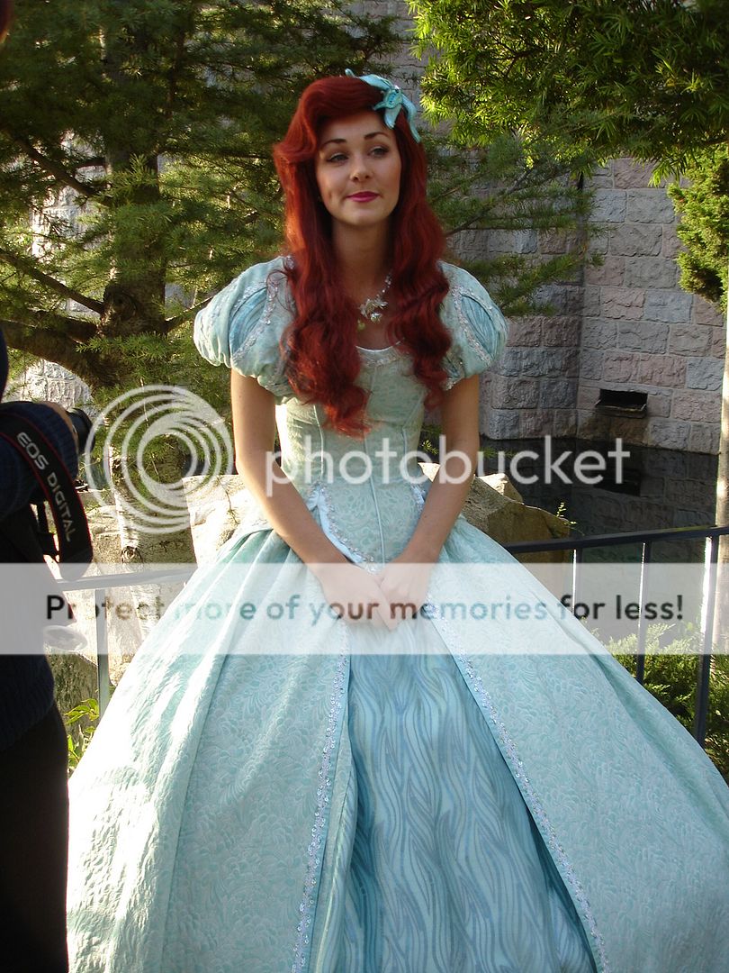 Princesses' NEW Dresses - Disneyland News and Rumors - Disney Character ...